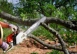 Best Utility Line Clearance  in Carbondale, IL